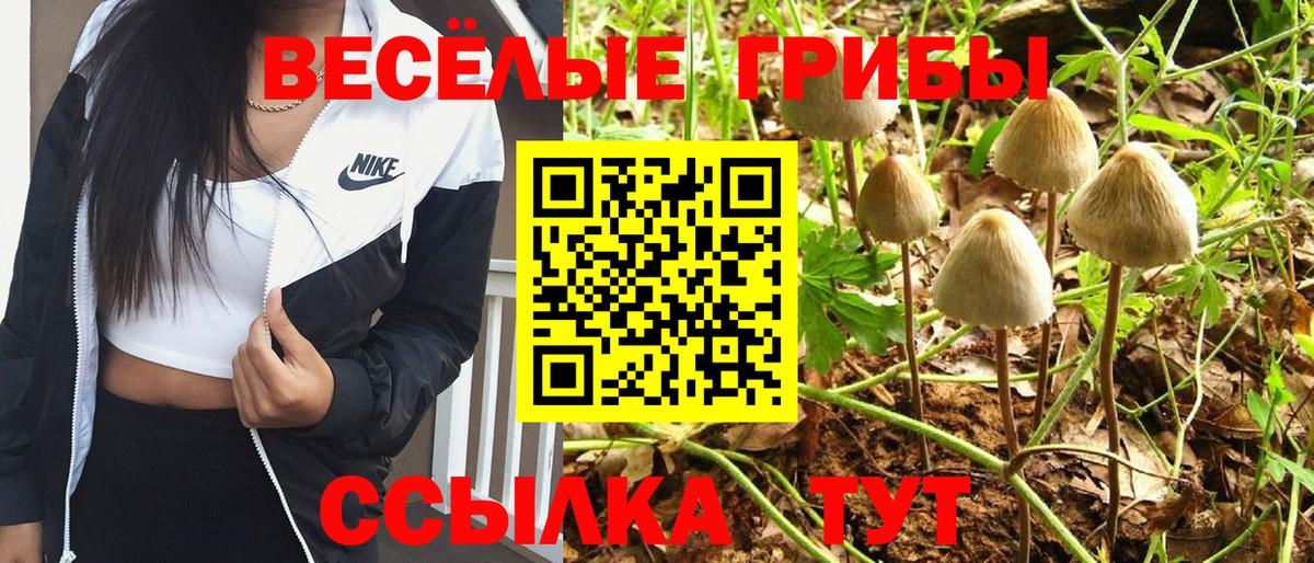 Галлюциногенные грибы Psilocybe  Вход с VPN  Воркута 