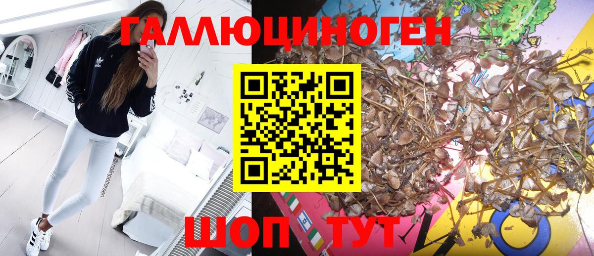 Галлюциногенные грибы ЛСД Воркута